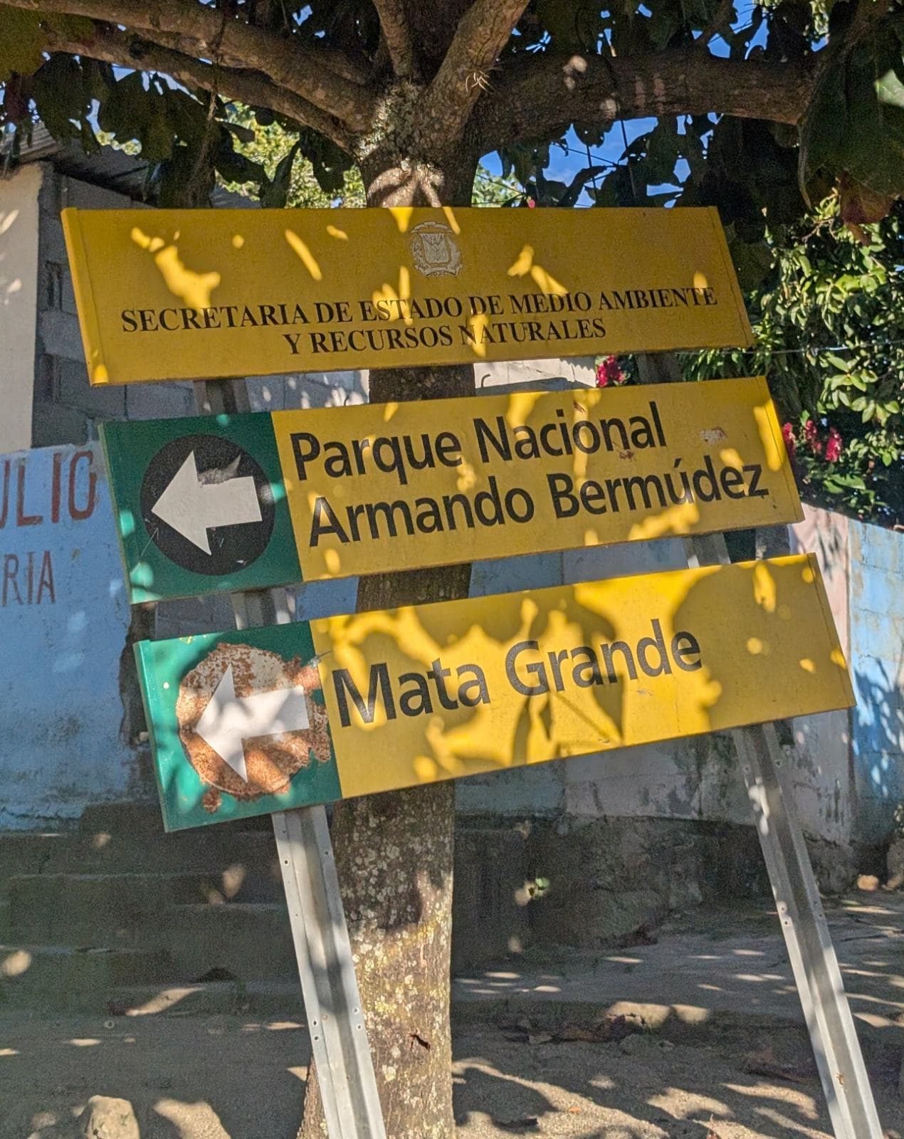 Imagen de galería 6