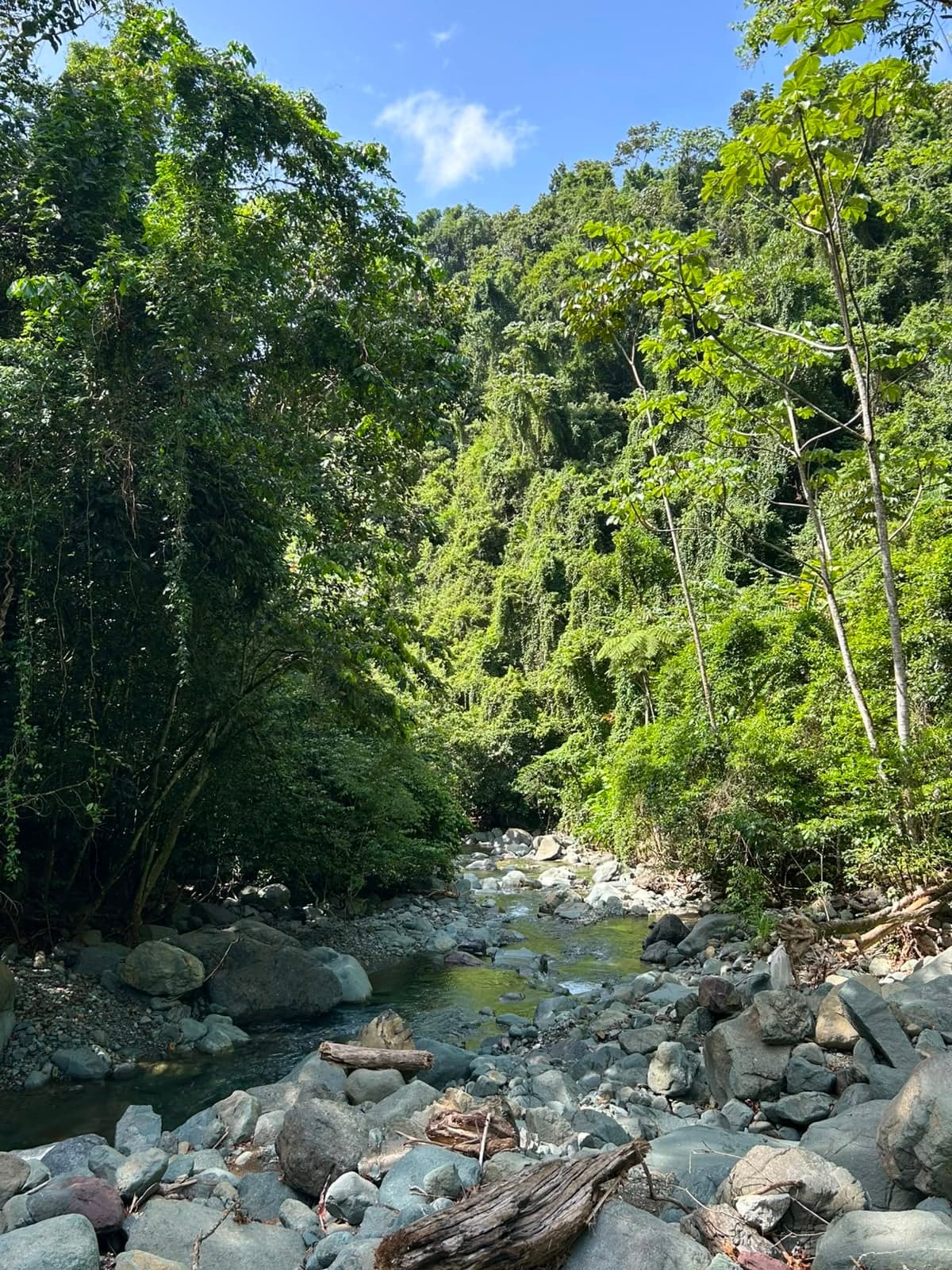 Charco La Jaiba, Río Jatubey — foto 6