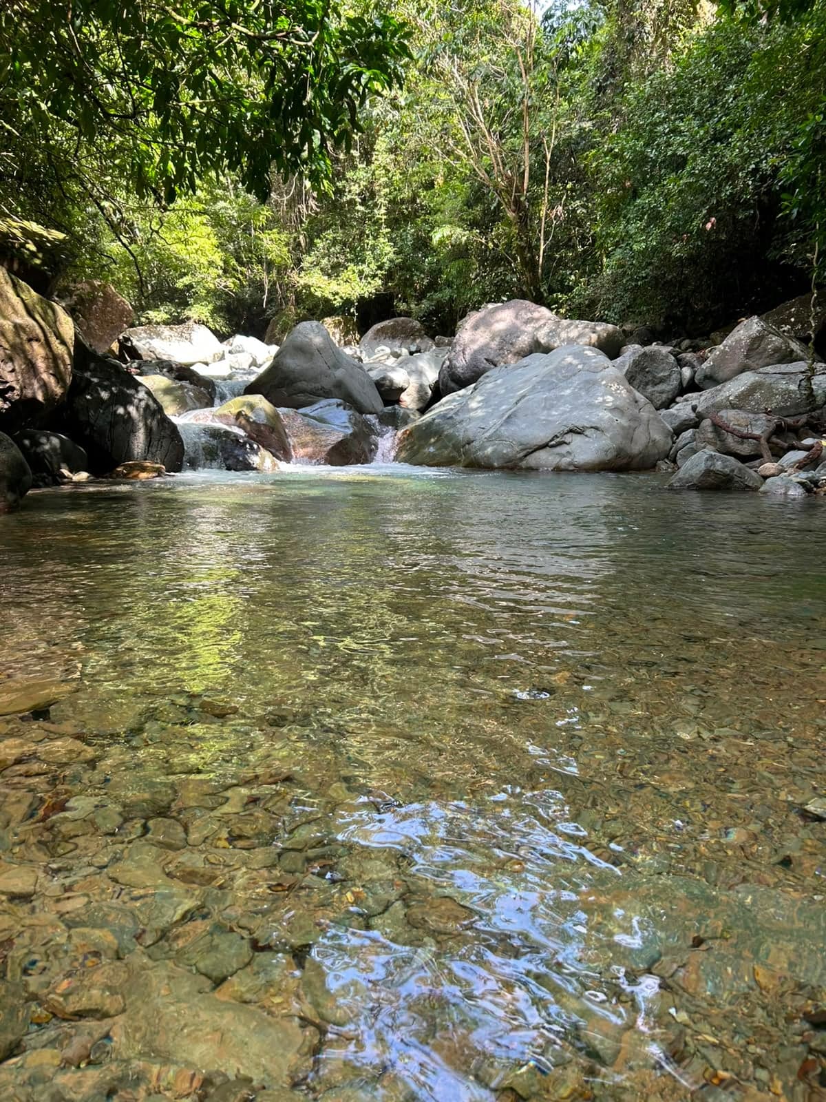 Charco La Jaiba, Río Jatubey — foto 7