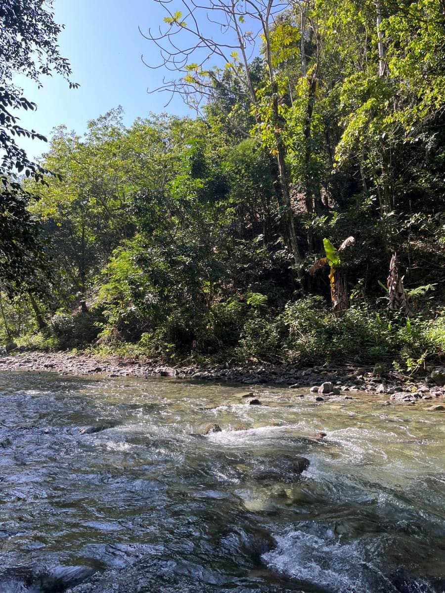 El Capaz de Yuna — foto 2