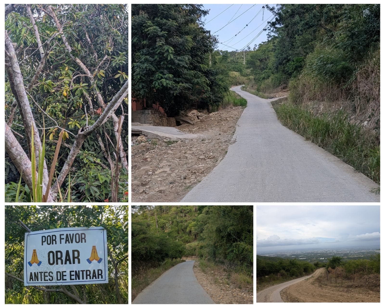 Imagen de galería 1