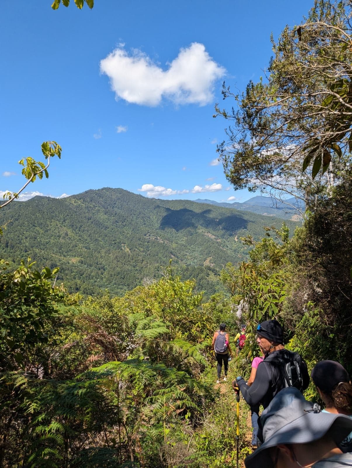 El Mogote — foto 2