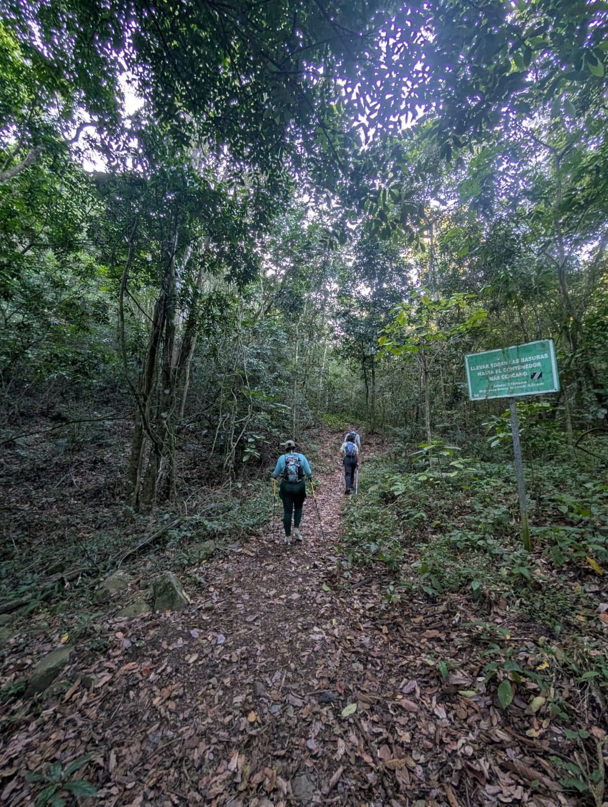 El Mogote — foto 3