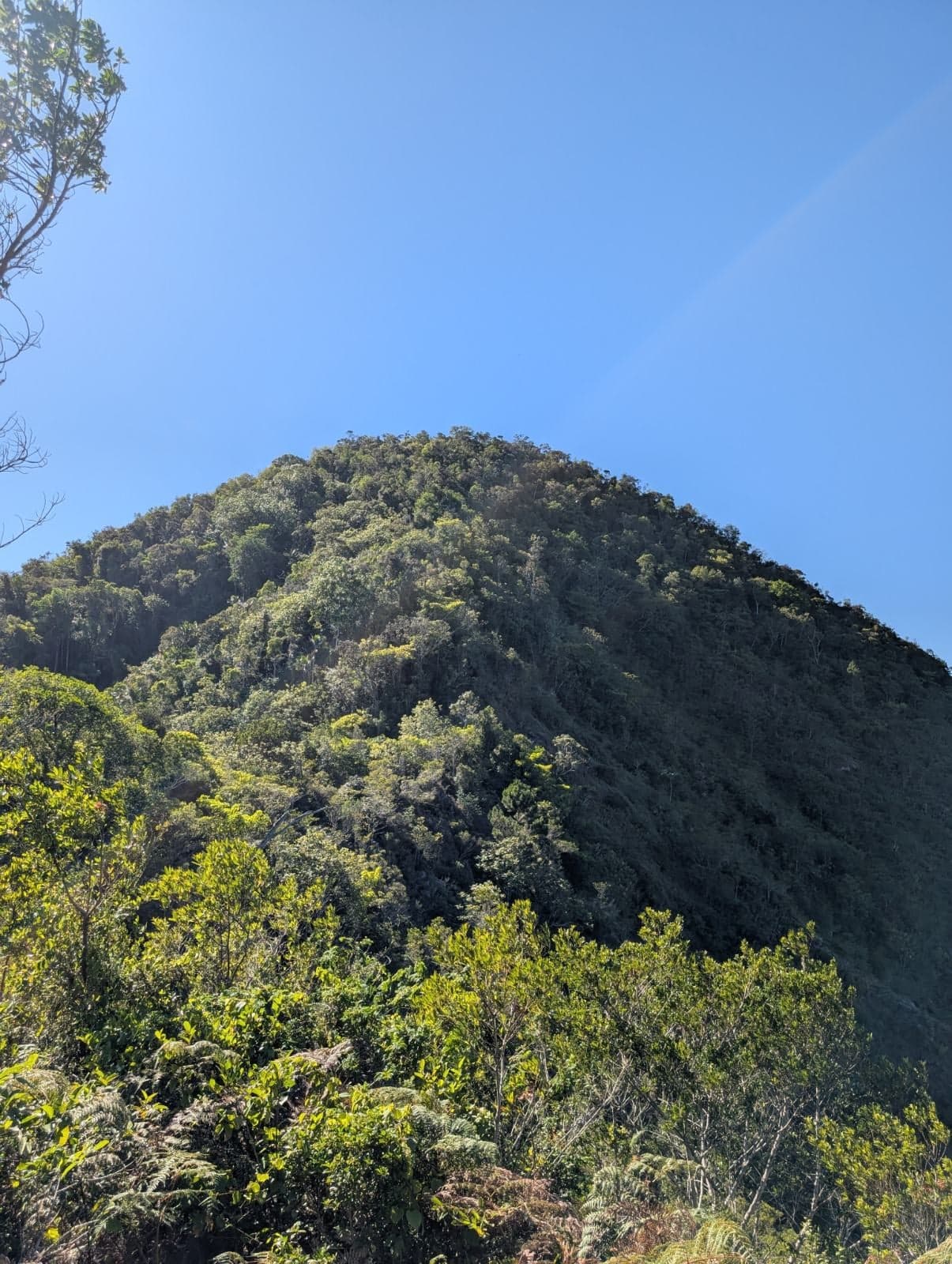 El Mogote — foto 6