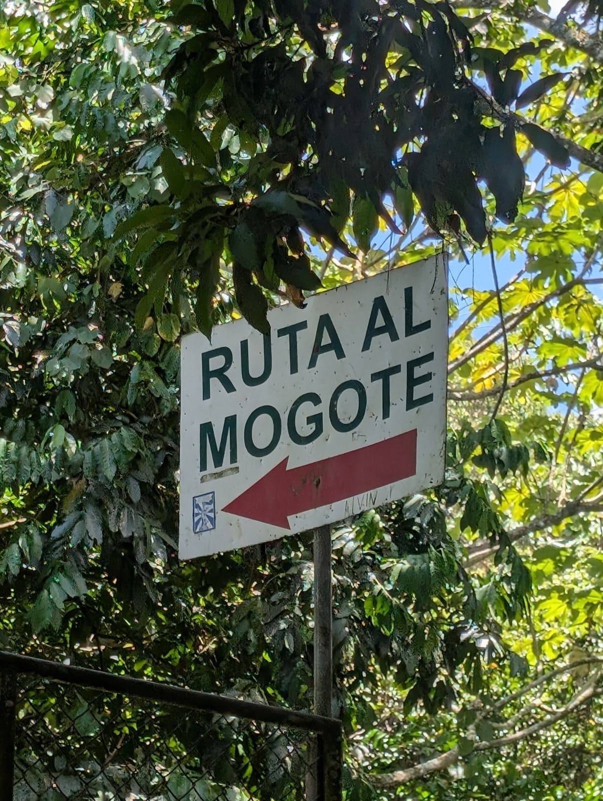 El Mogote — foto 9