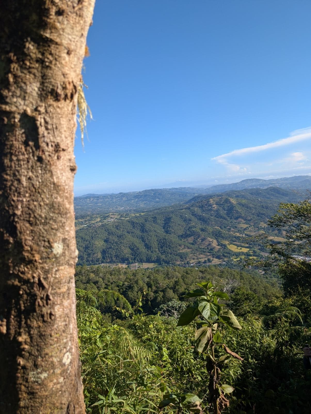El Mogote — foto 10