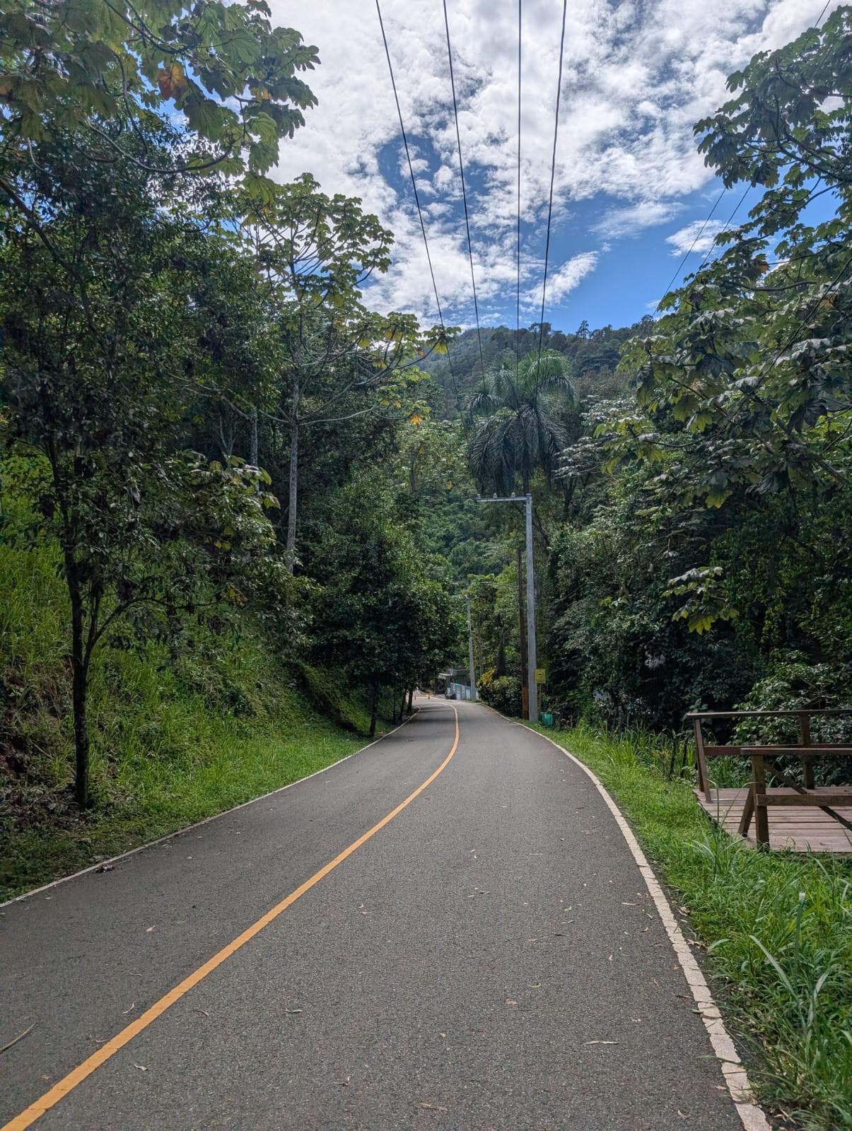 Imagen de galería 2