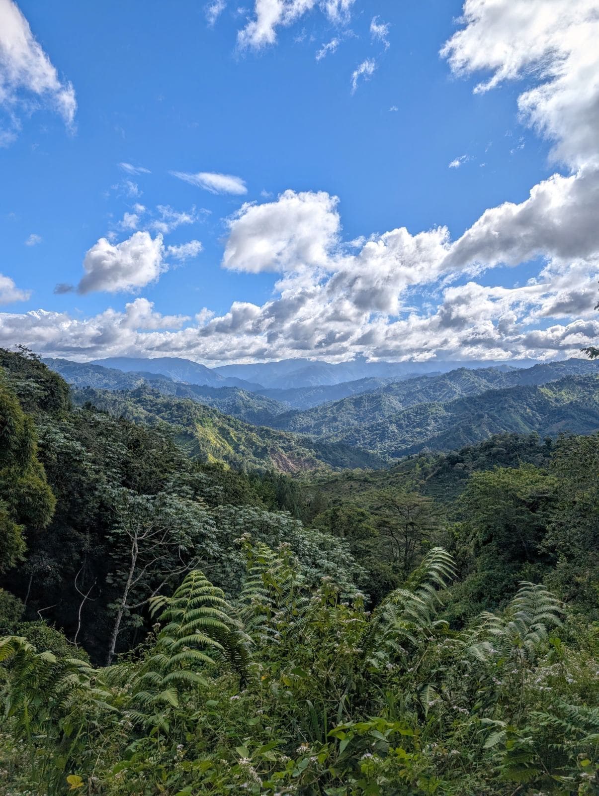 Imagen de galería 2