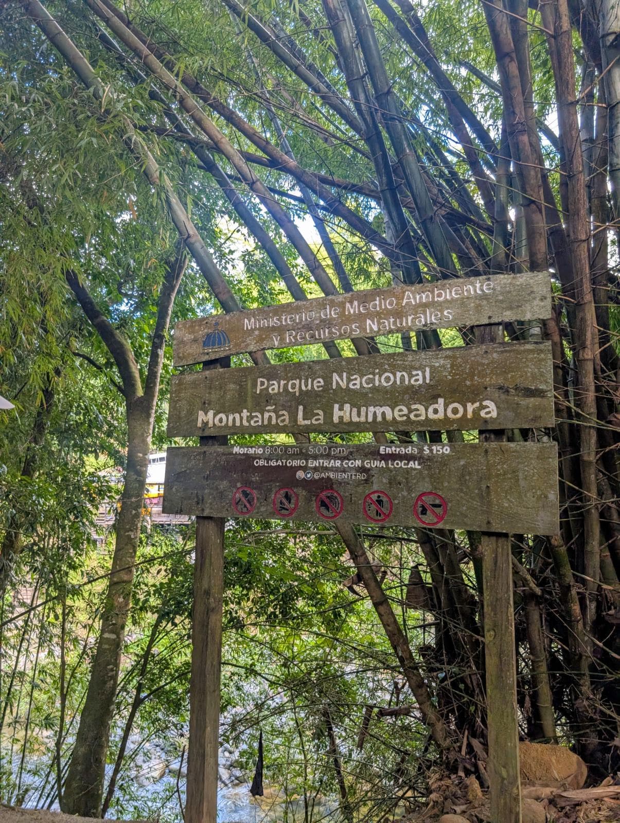 Imagen de galería 5