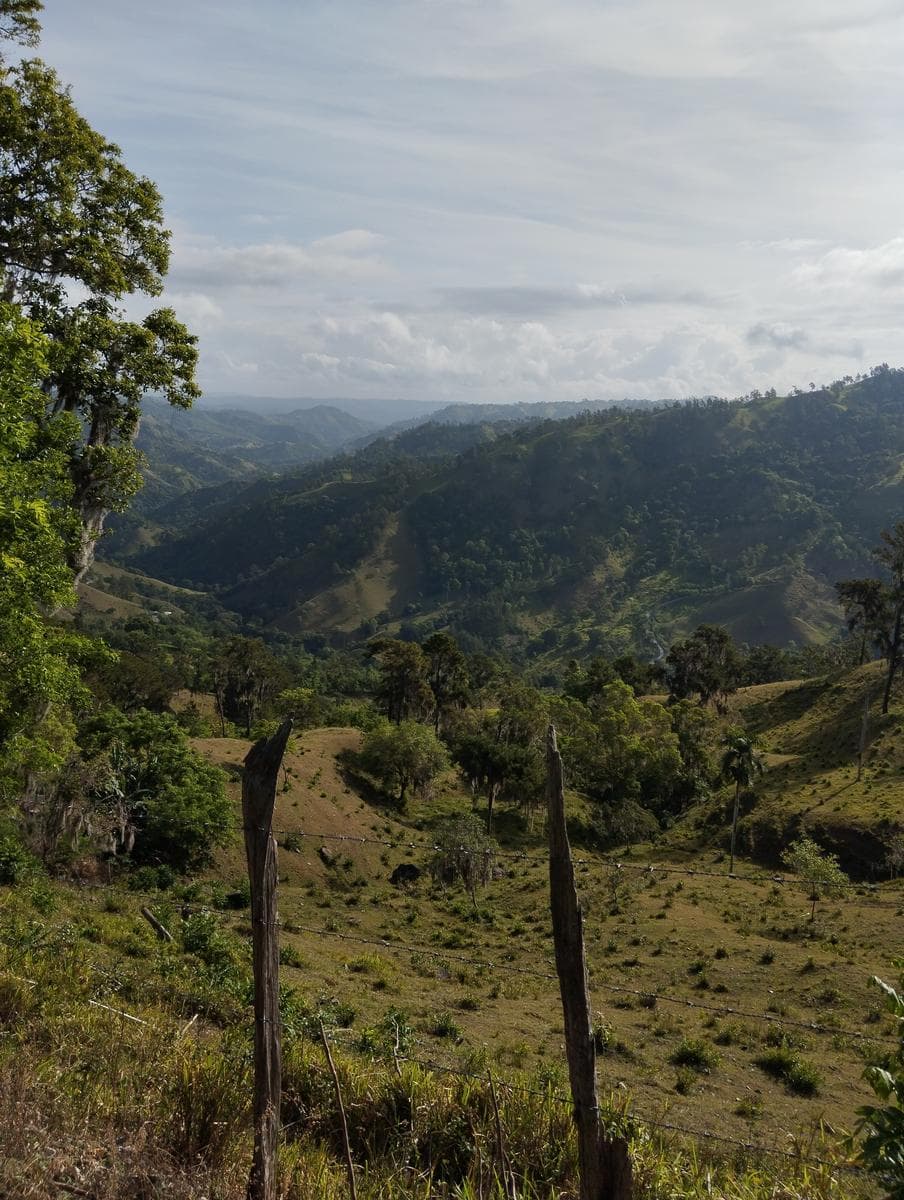 Imagen de galería 2