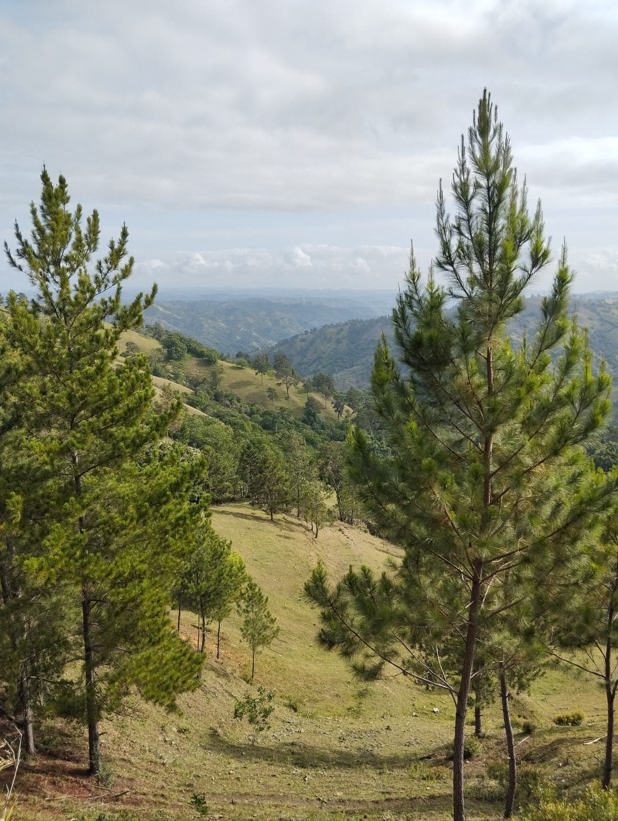 Imagen de galería 3