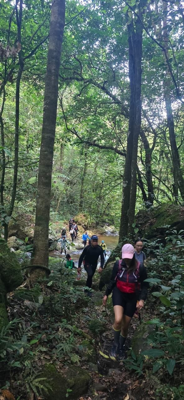 Ruta Acapulco - Loma Miranda — foto 4
