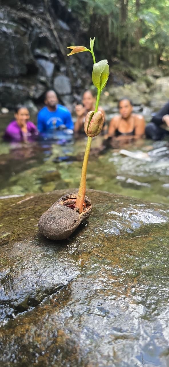 Ruta Acapulco - Loma Miranda — foto 6