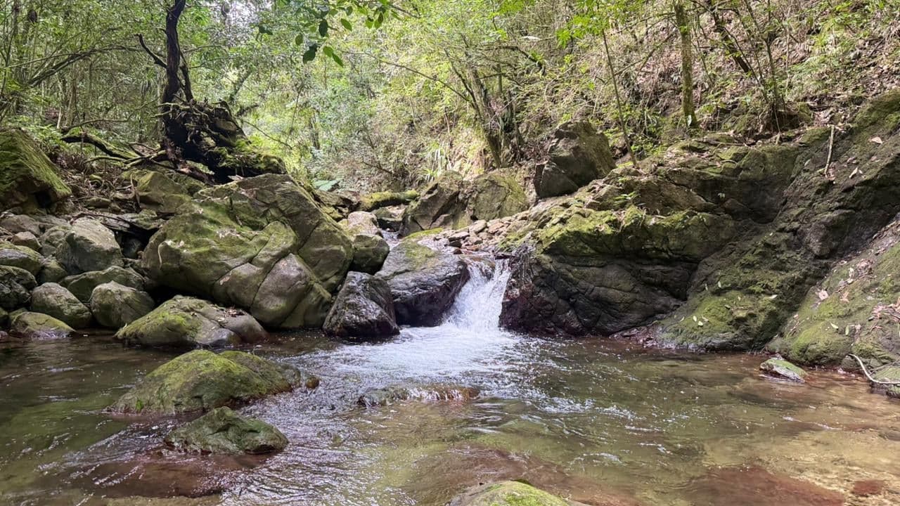 Ruta Acapulco - Loma Miranda — foto 9