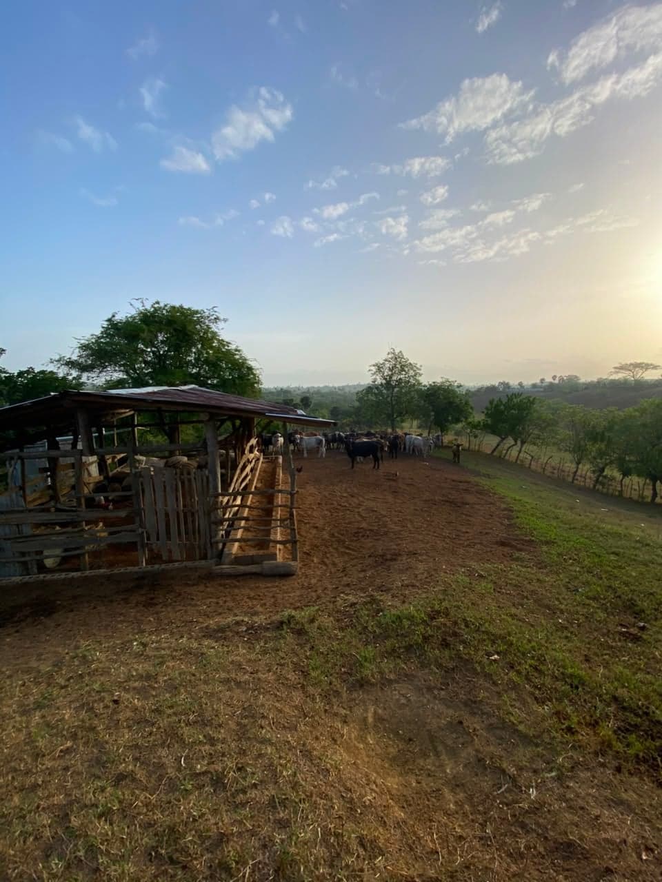 Ruta Baitoa — foto 1