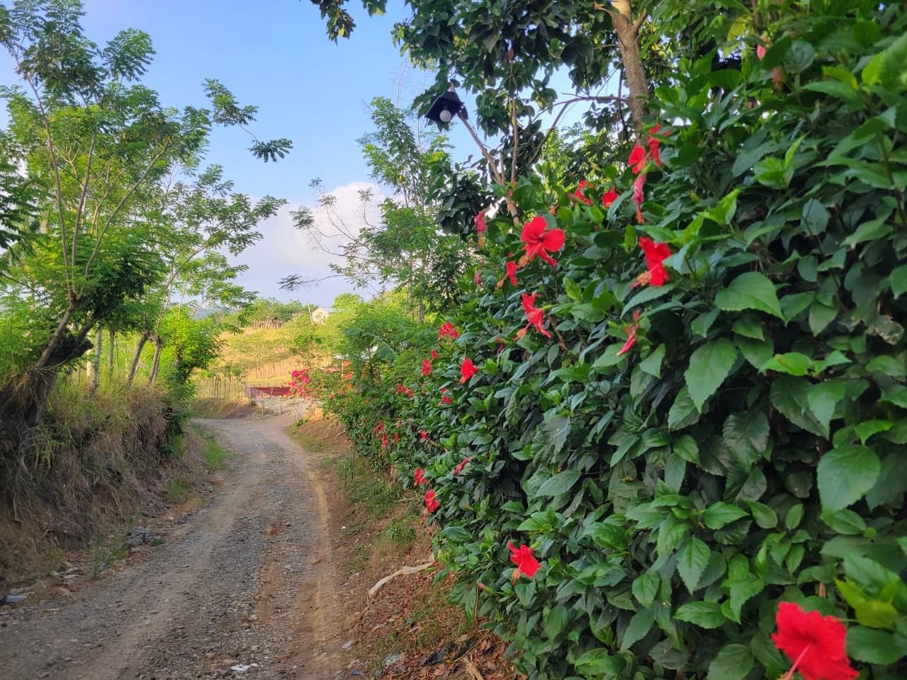 Ruta Baitoa — foto 6