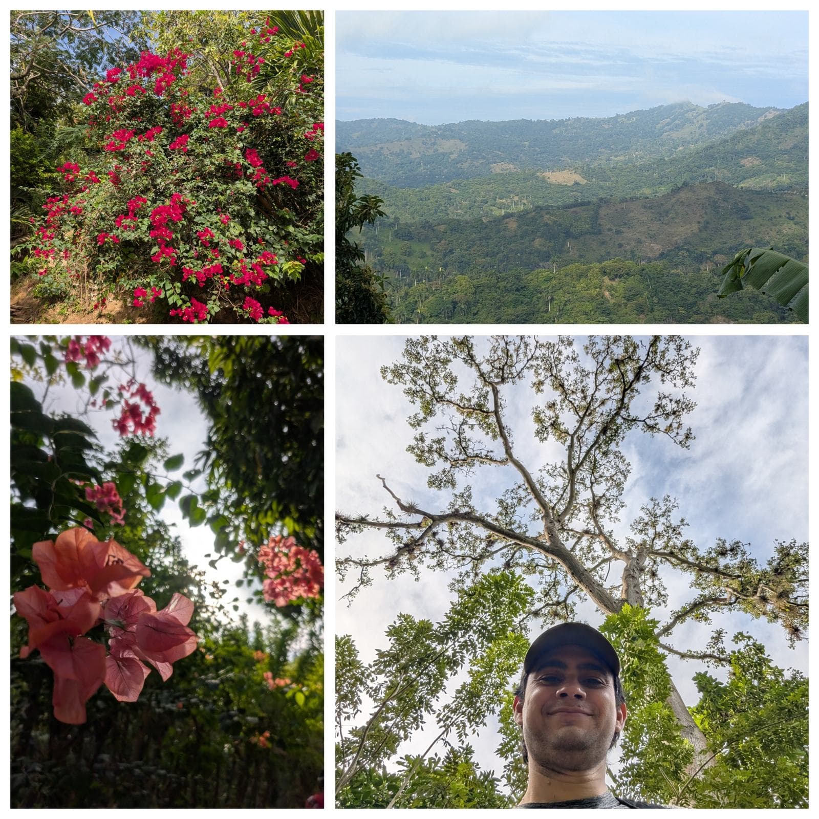Imagen de galería 2