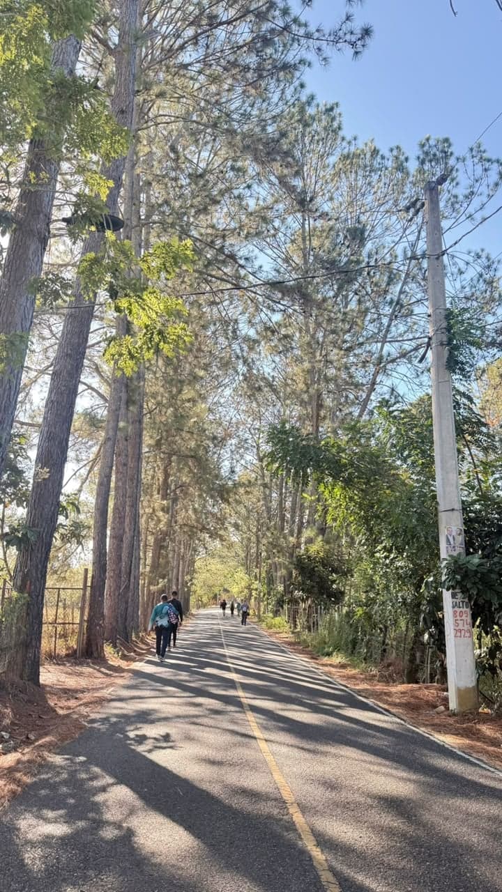 Ruta El Faro — foto 4