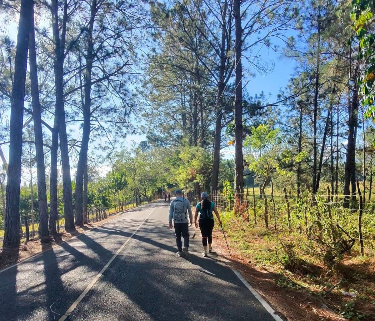 Ruta de senderismo Ruta El Faro en Guagui, La Vega