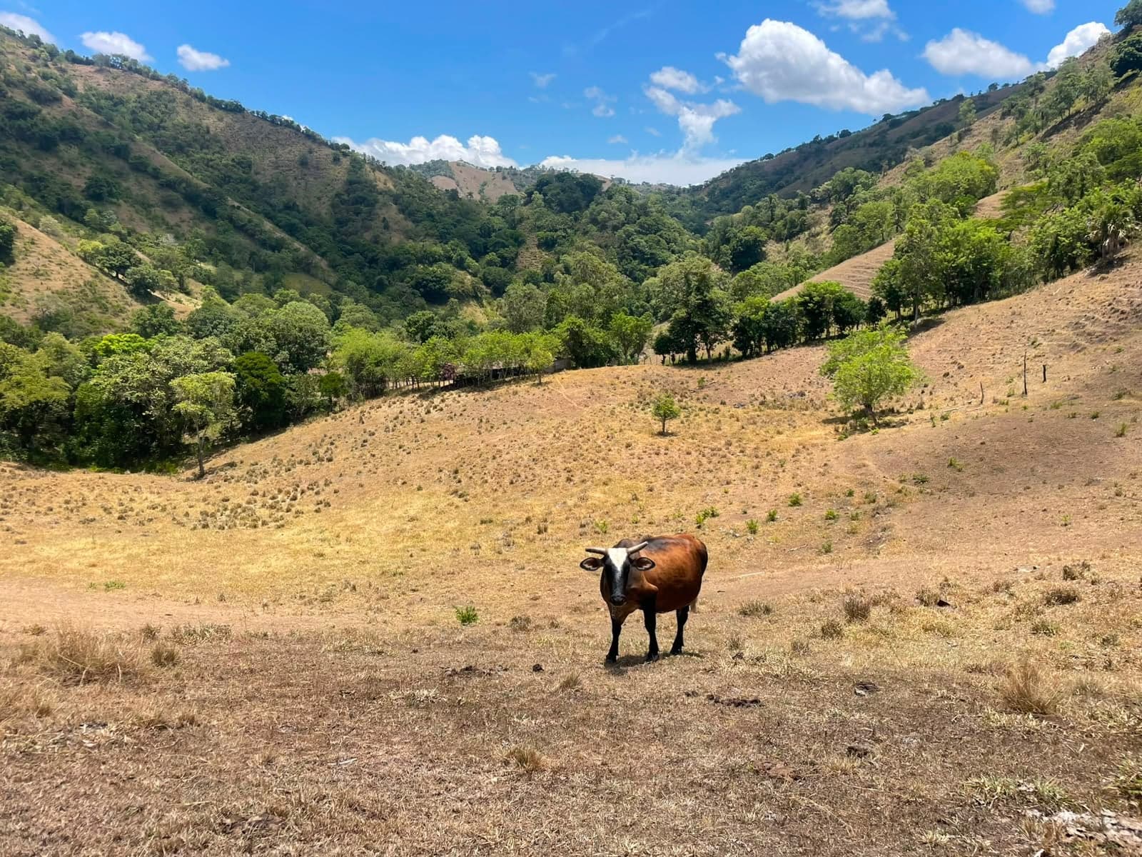 Ruta Guanajuma - Los Pilones — foto 3