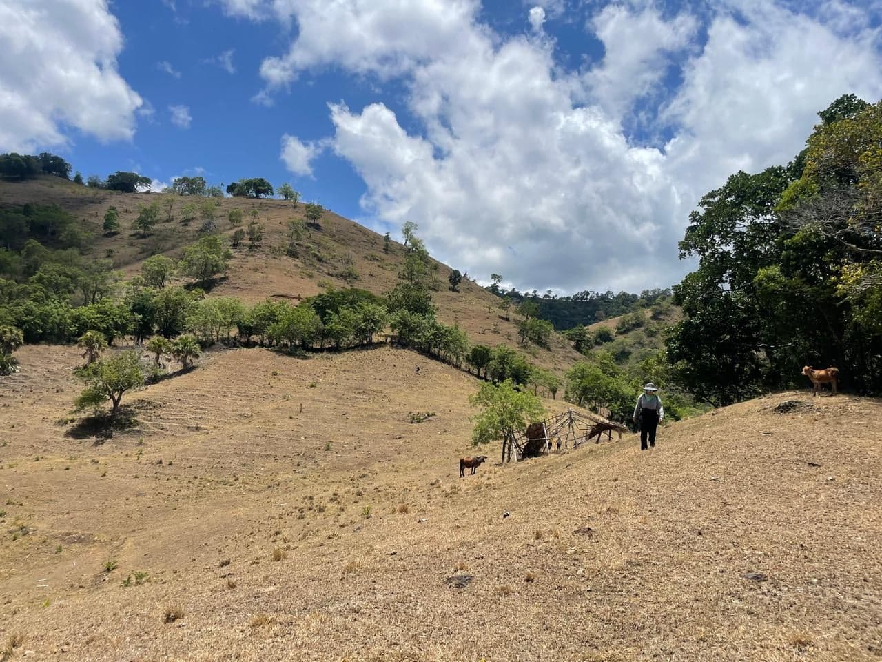 Ruta Guanajuma - Los Pilones — foto 4
