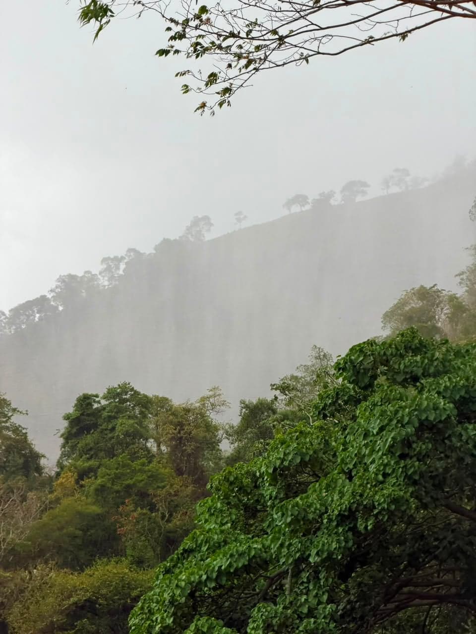 Ruta Guanajuma - Los Pilones — foto 8
