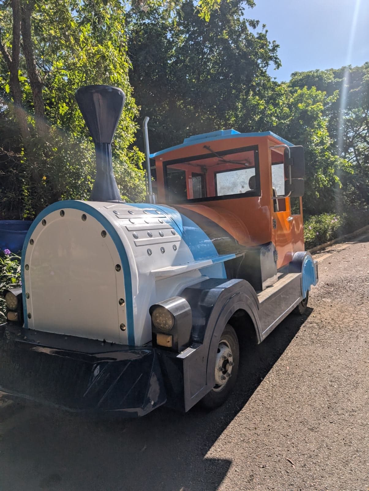 Ruta Jardin Botanico de Santiago — foto 2