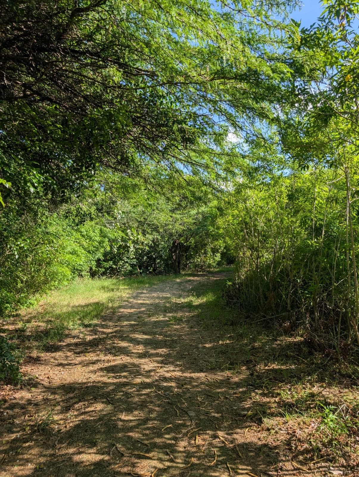 Ruta Jardin Botanico de Santiago — foto 3