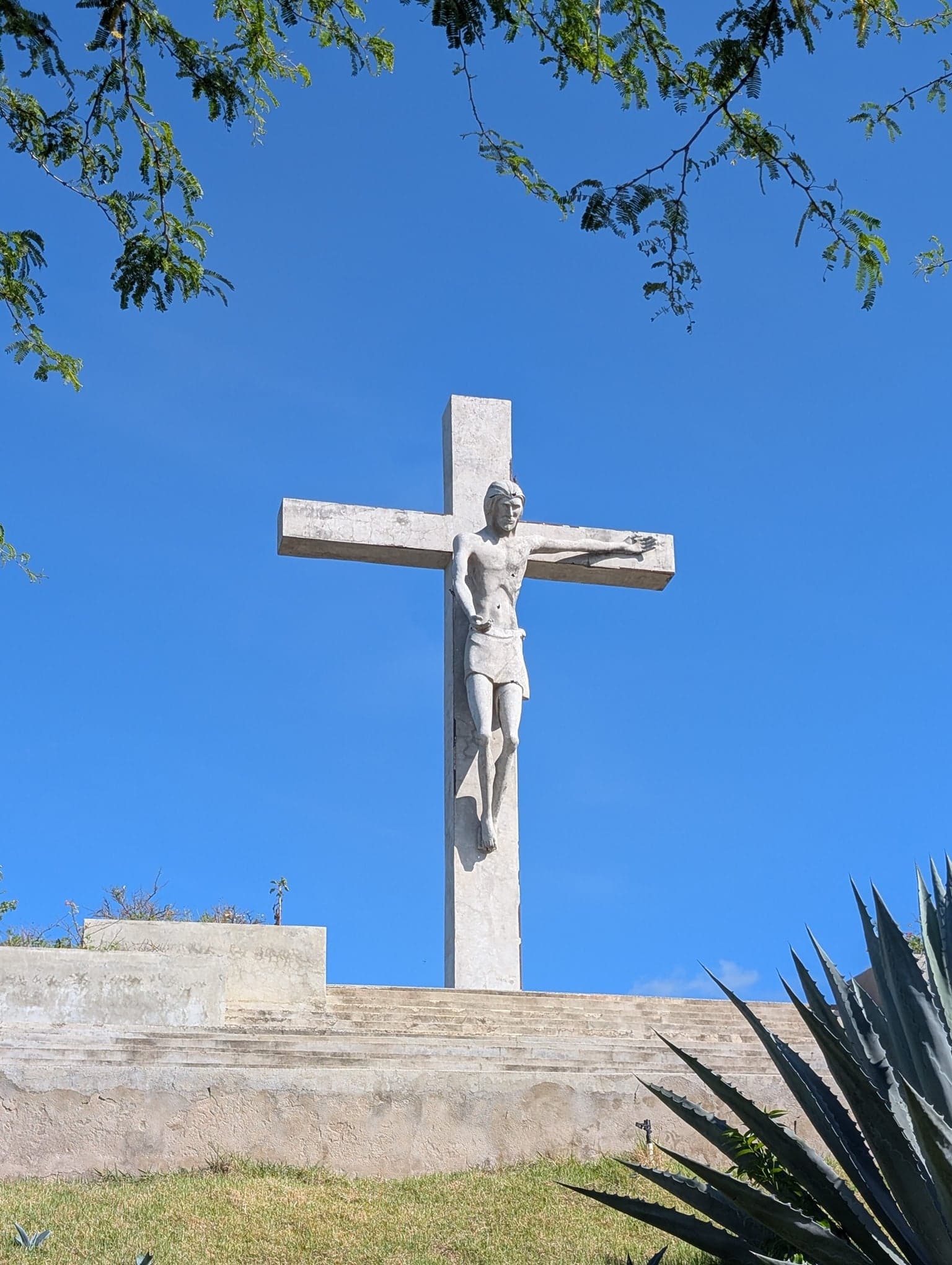 Ruta Jardin Botanico de Santiago — foto 6