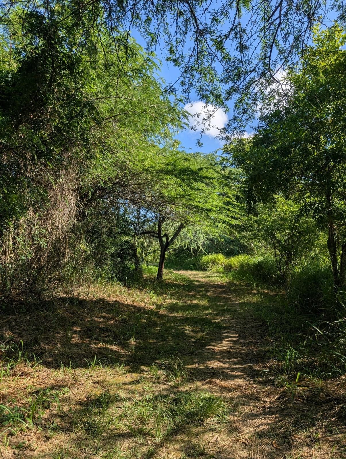 Ruta Jardin Botanico de Santiago — foto 7