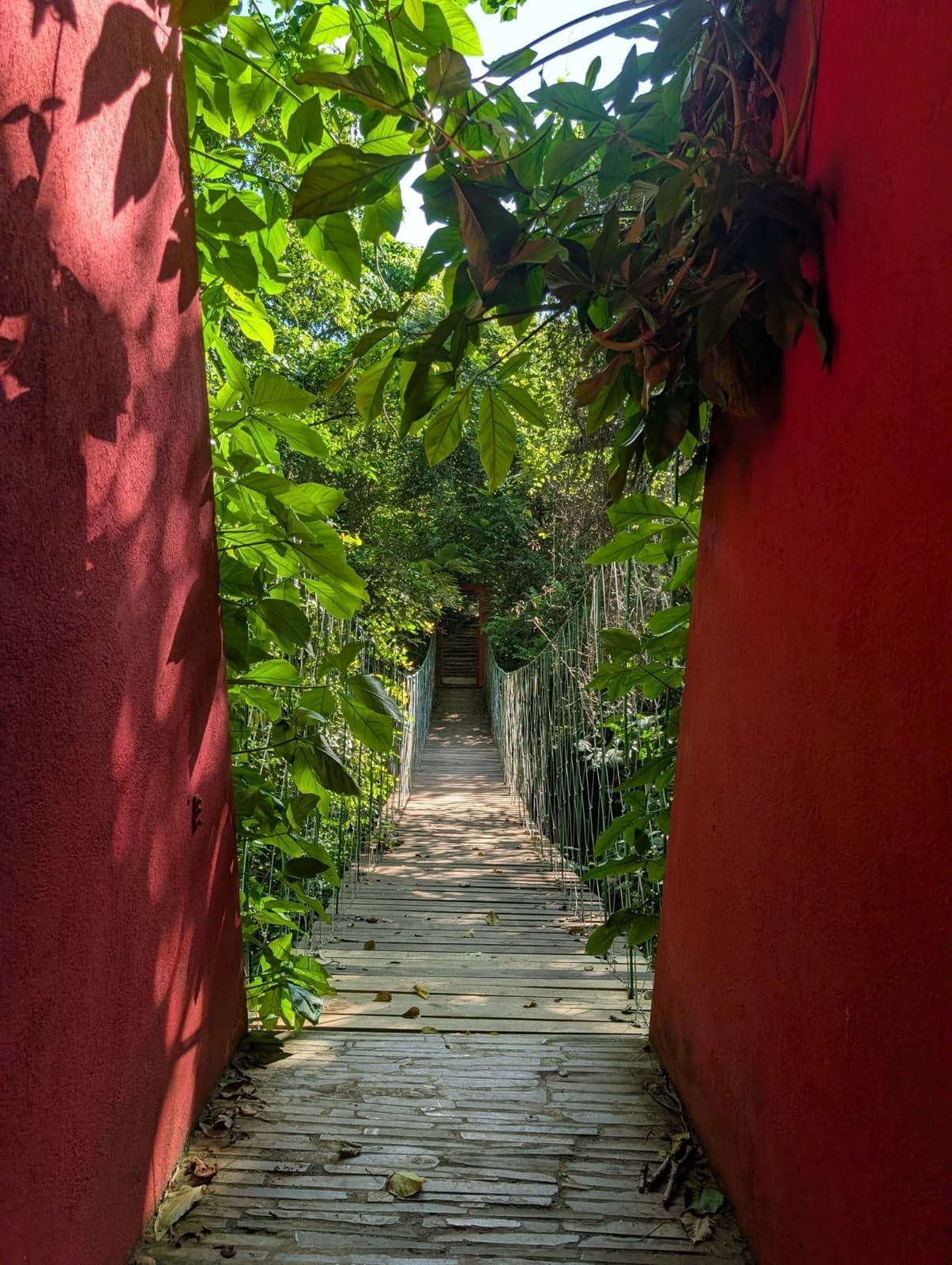 Ruta Jardin Botanico de Santiago — foto 8