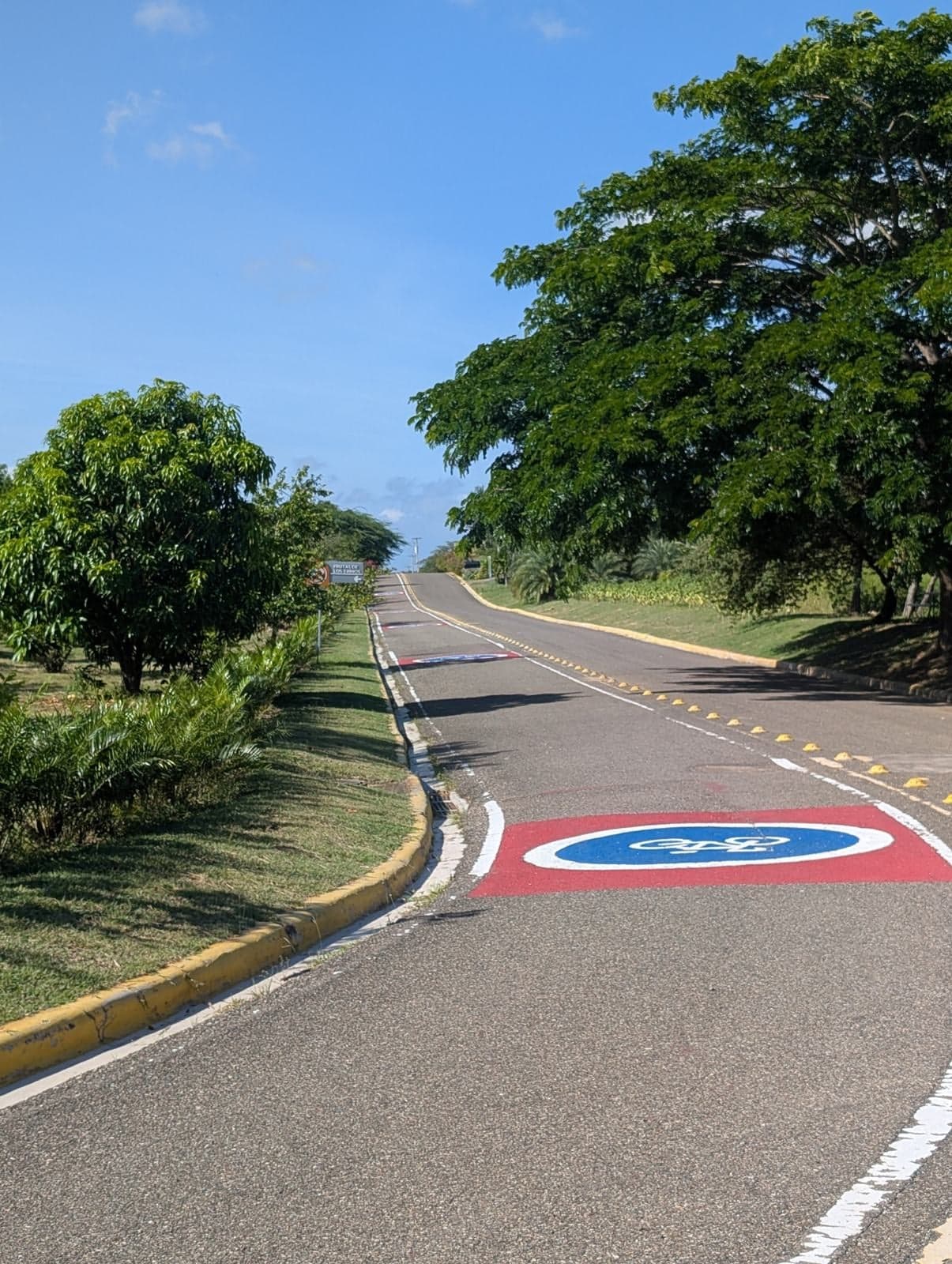 Ruta Jardin Botanico de Santiago — foto 10