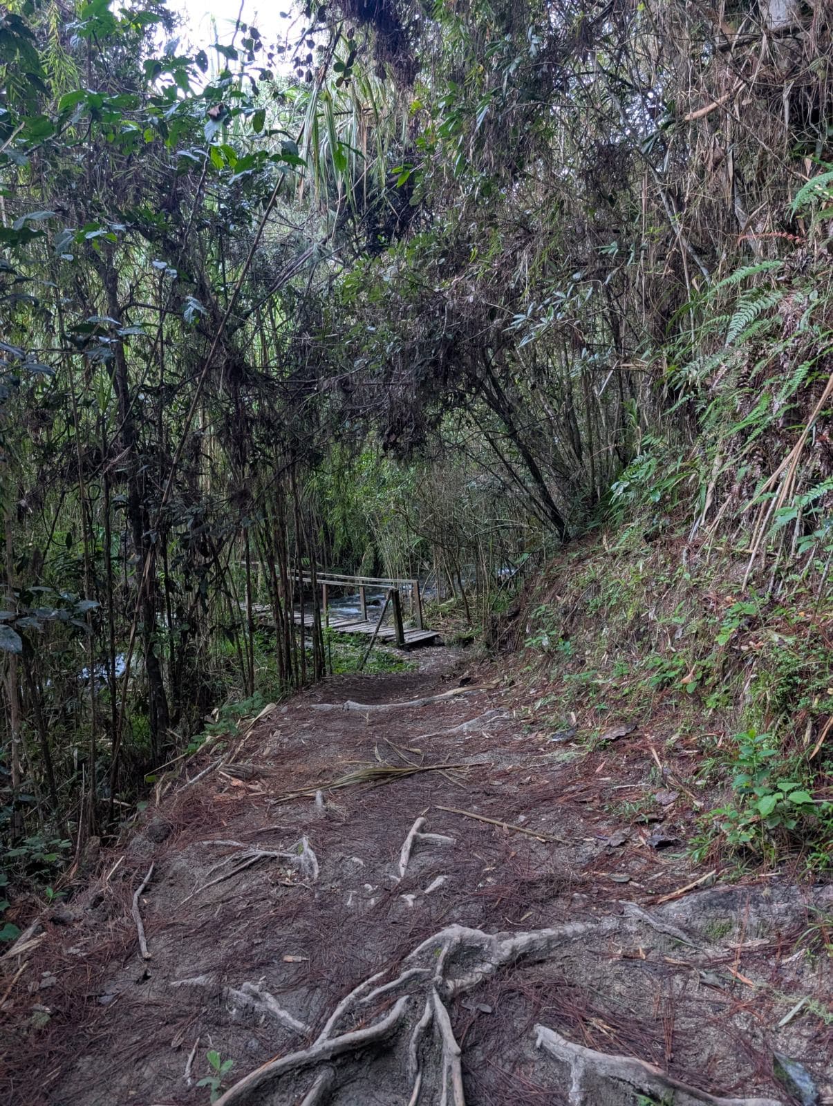 Imagen de galería 4
