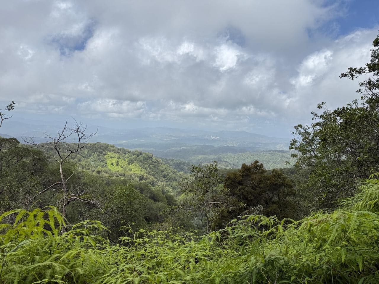 Sendero Baño de Nubes — foto 4