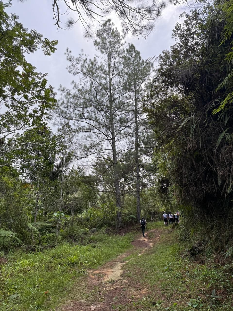 Sendero Baño de Nubes — foto 5