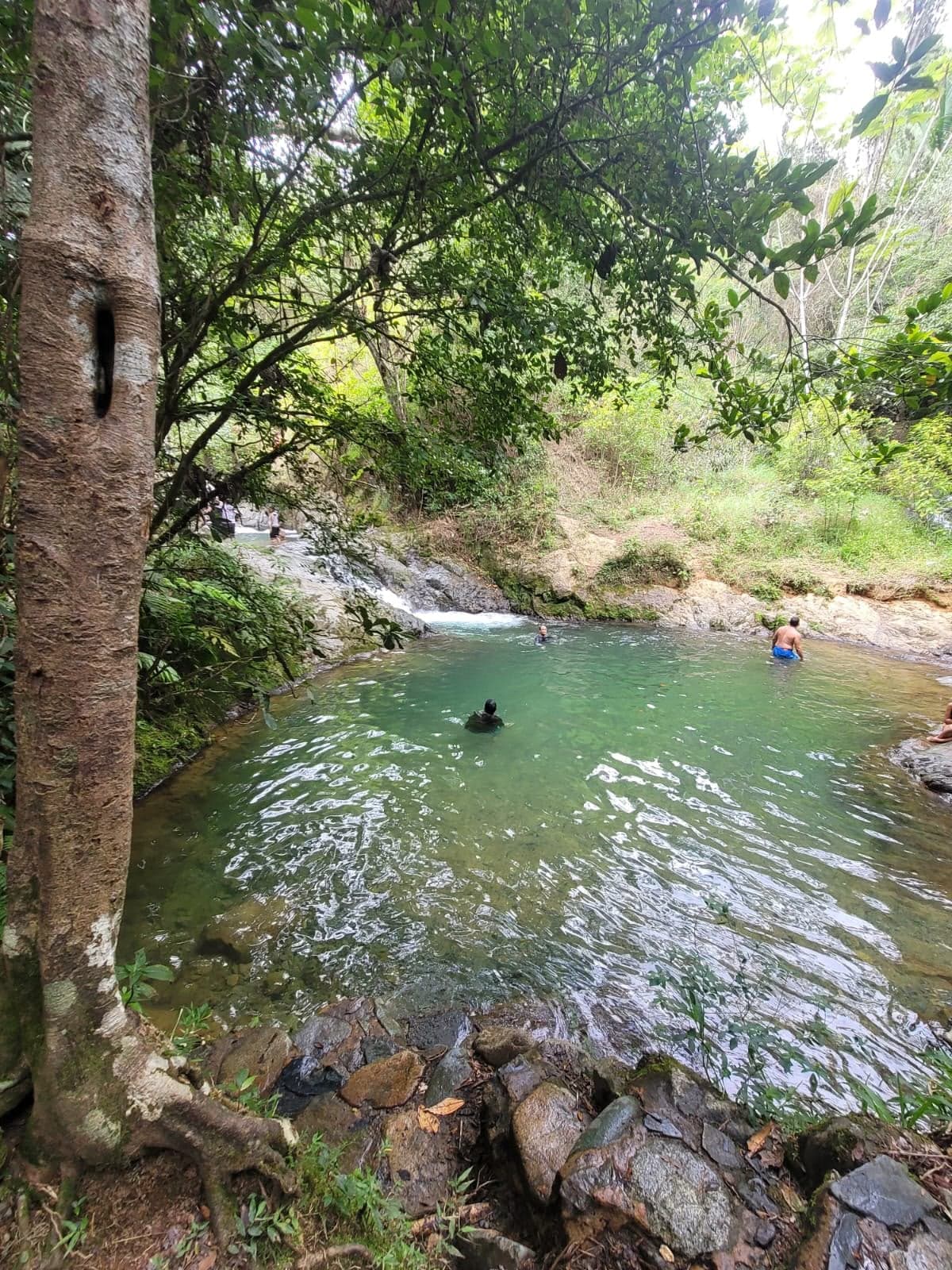 Sendero Baño de Nubes — foto 10