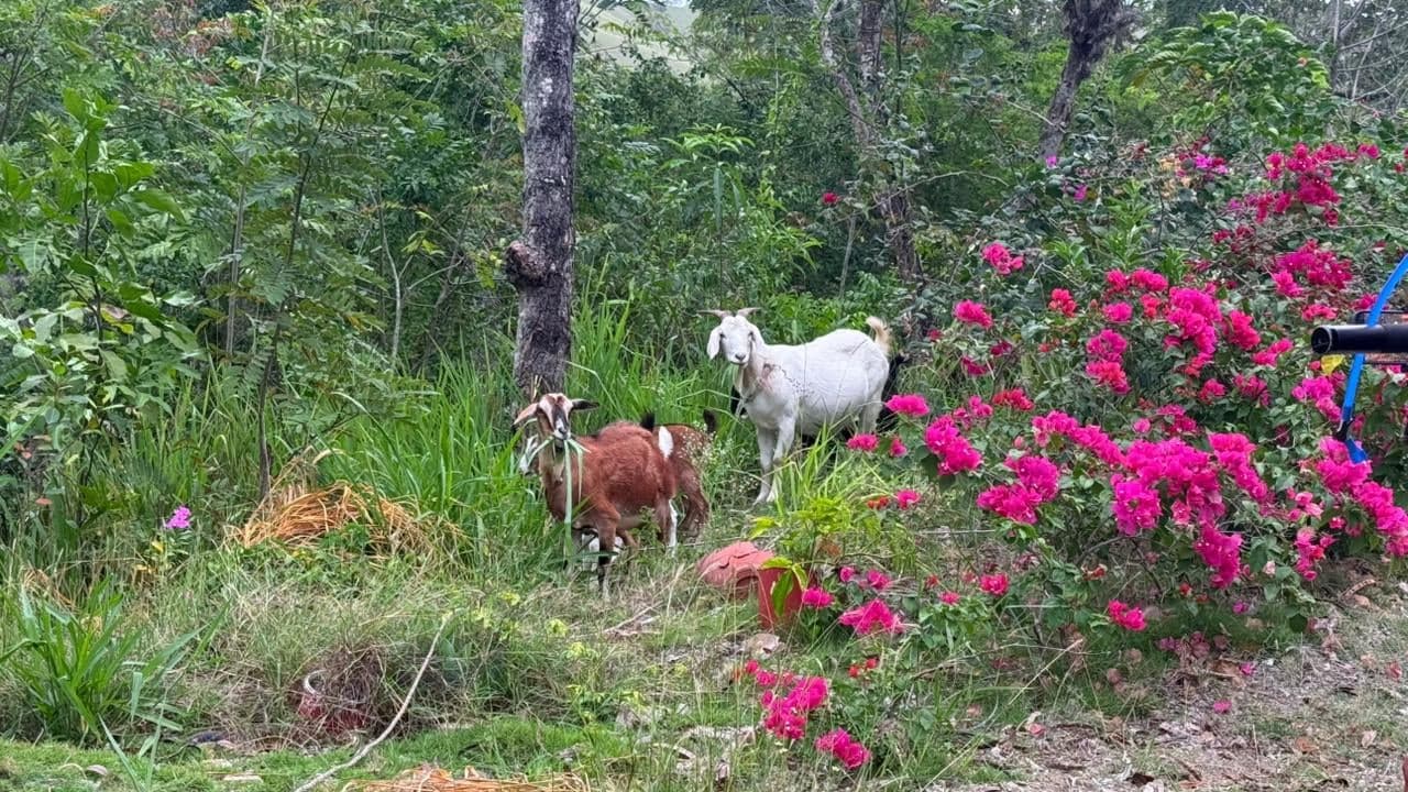 Sendero del Agua, Presa de Taveras — foto 7