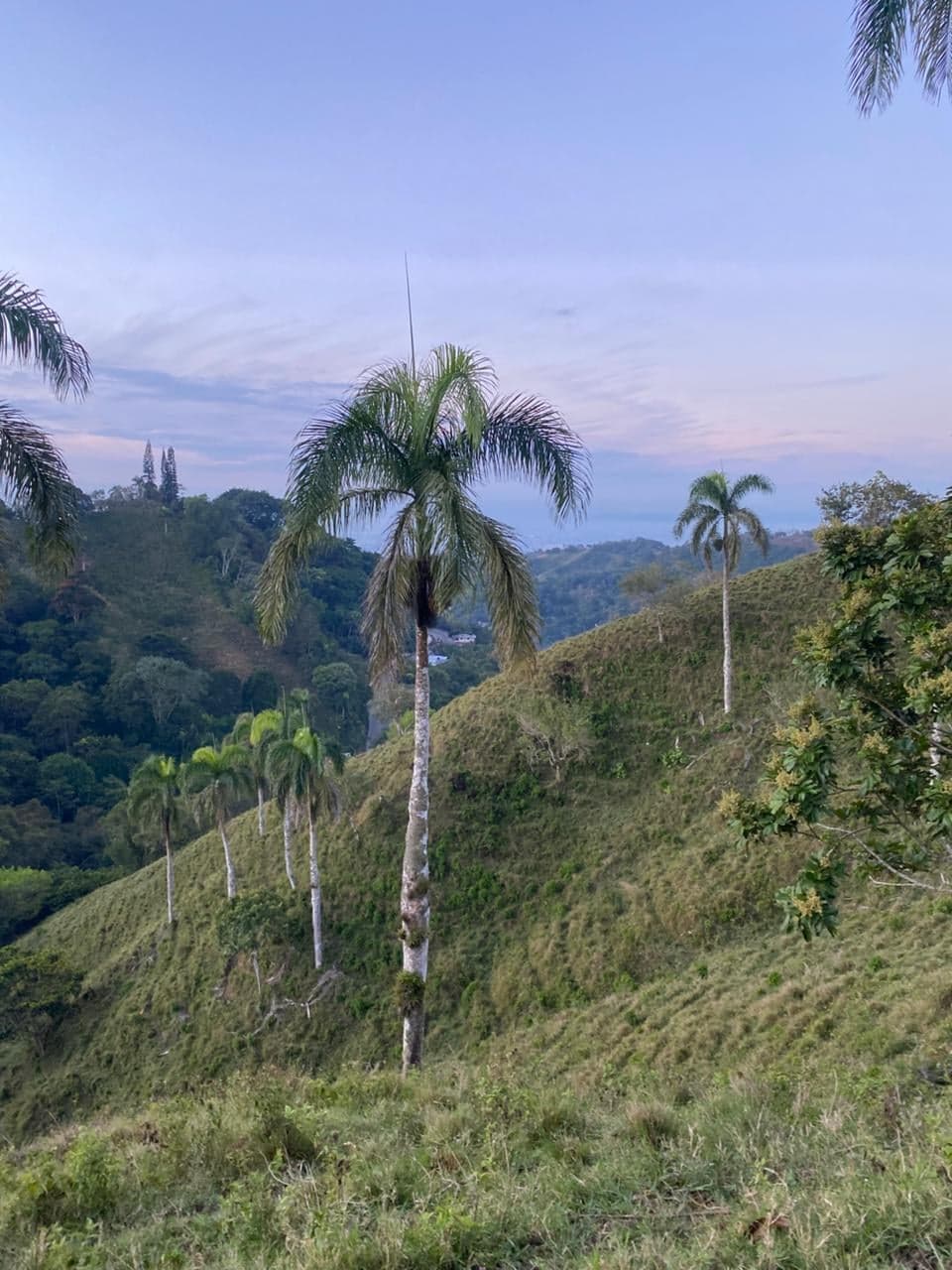 Sendero La Cumbre — foto 2