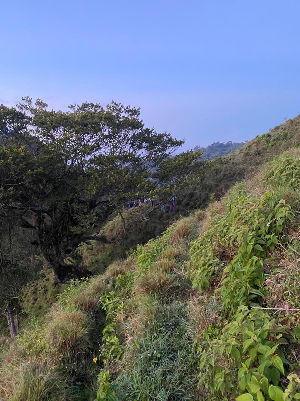 Sendero La Cumbre — foto 6
