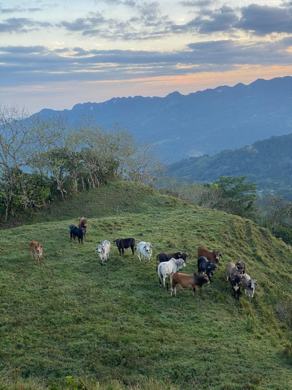 Sendero La Cumbre — foto 9