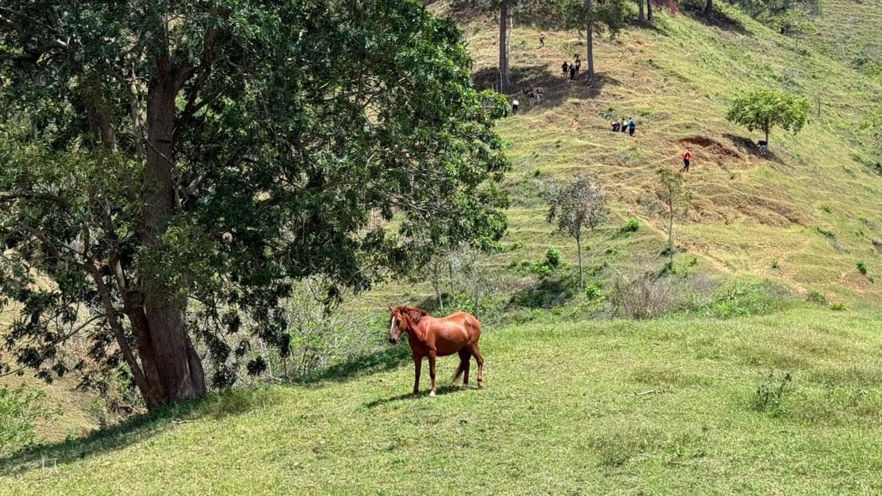Sendero La Guaimita - Vista panorámica