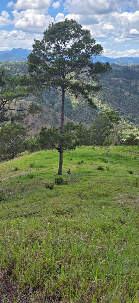 Sendero La Guaimita — foto 3