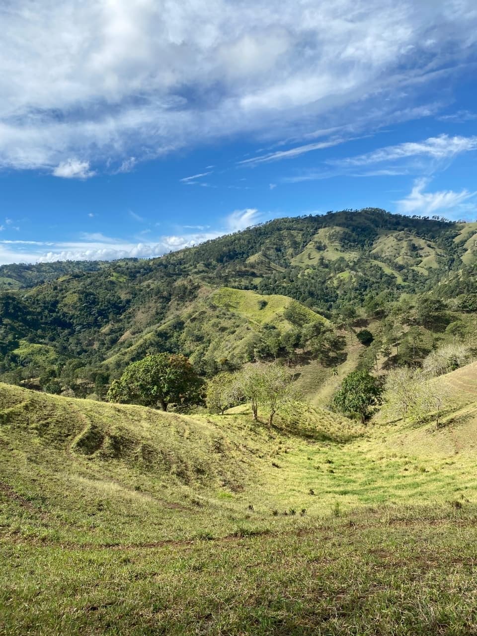 Sendero La Guaimita — foto 4