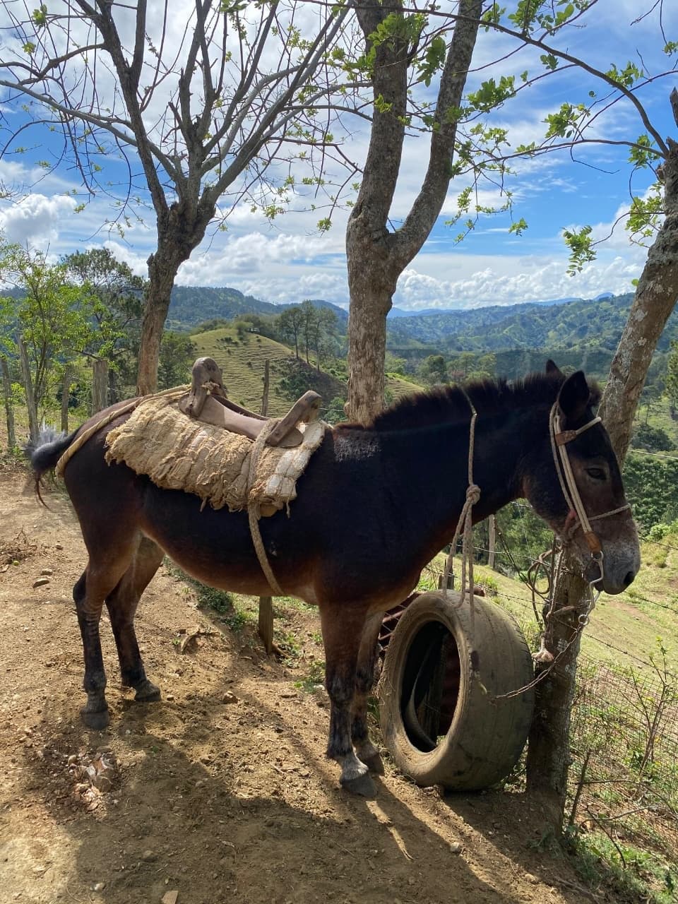Sendero La Guaimita — foto 6