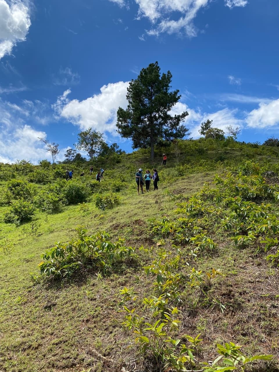 Sendero La Guaimita — foto 9