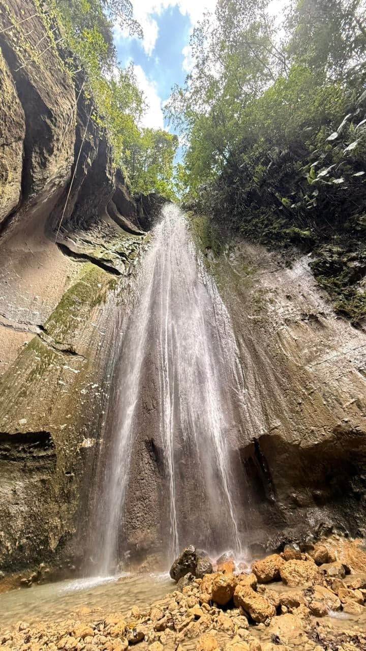Sendero Las Guayabas — foto 3