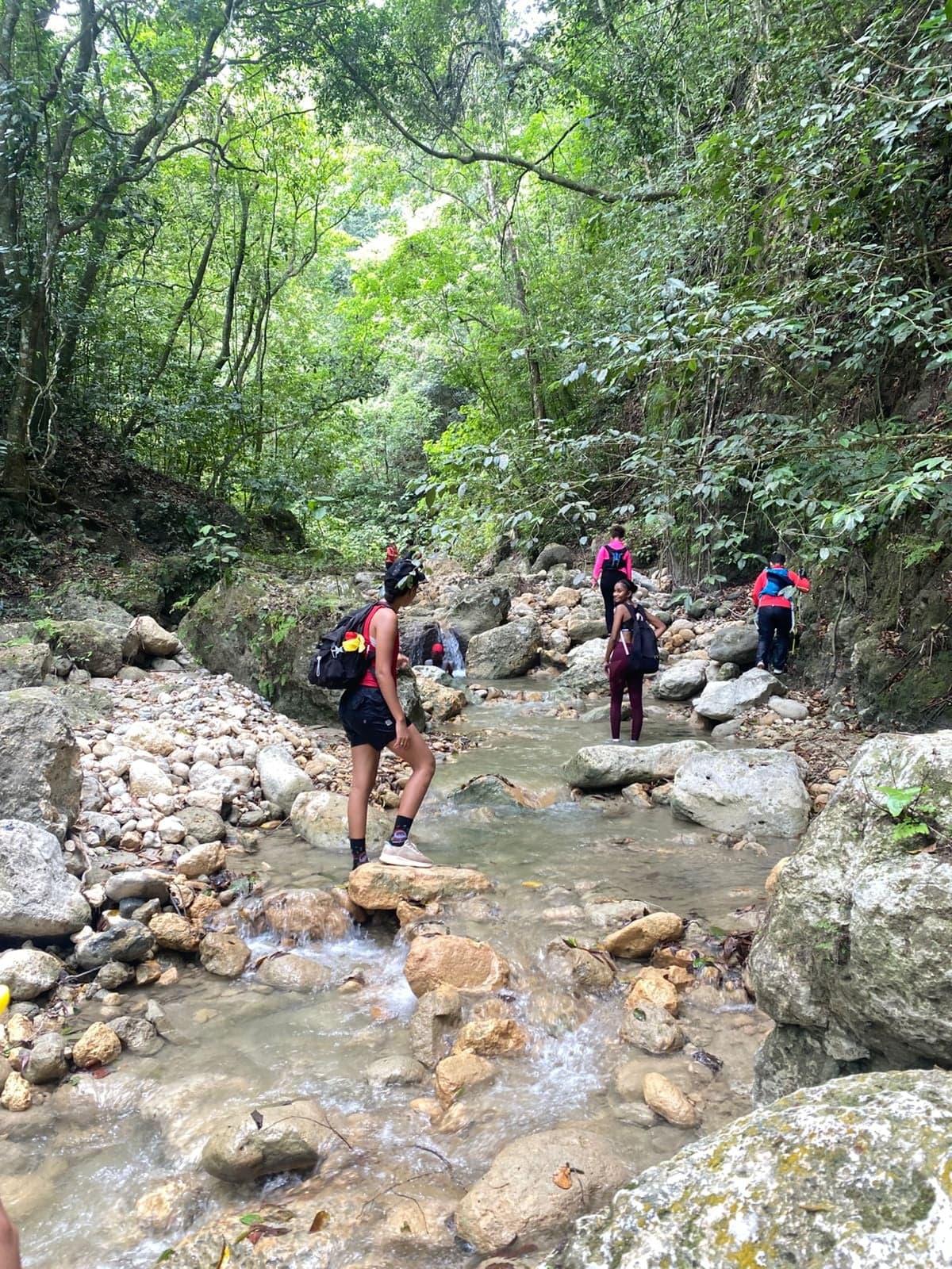 Sendero Las Guayabas — foto 4