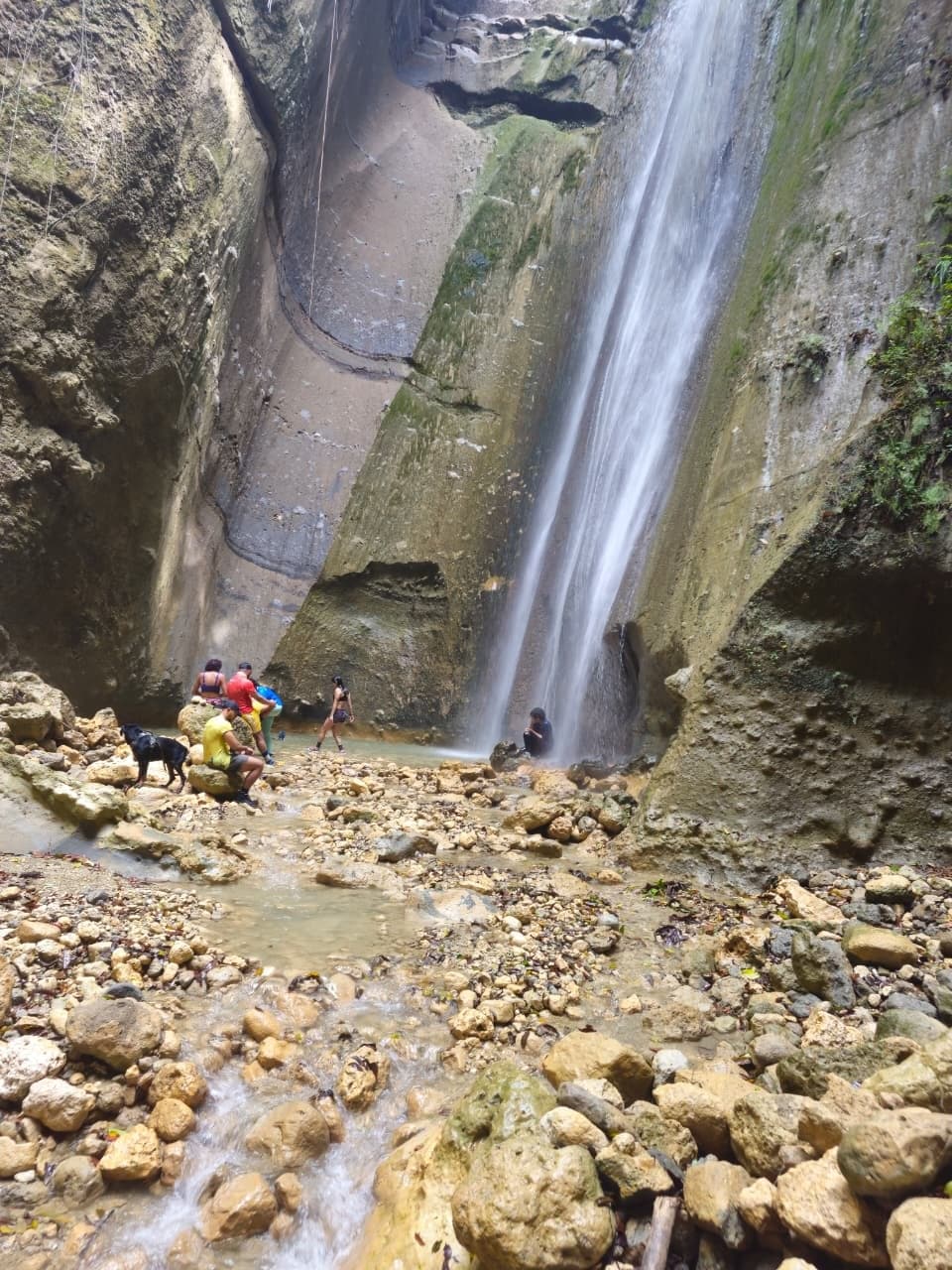 Sendero Las Guayabas — foto 7