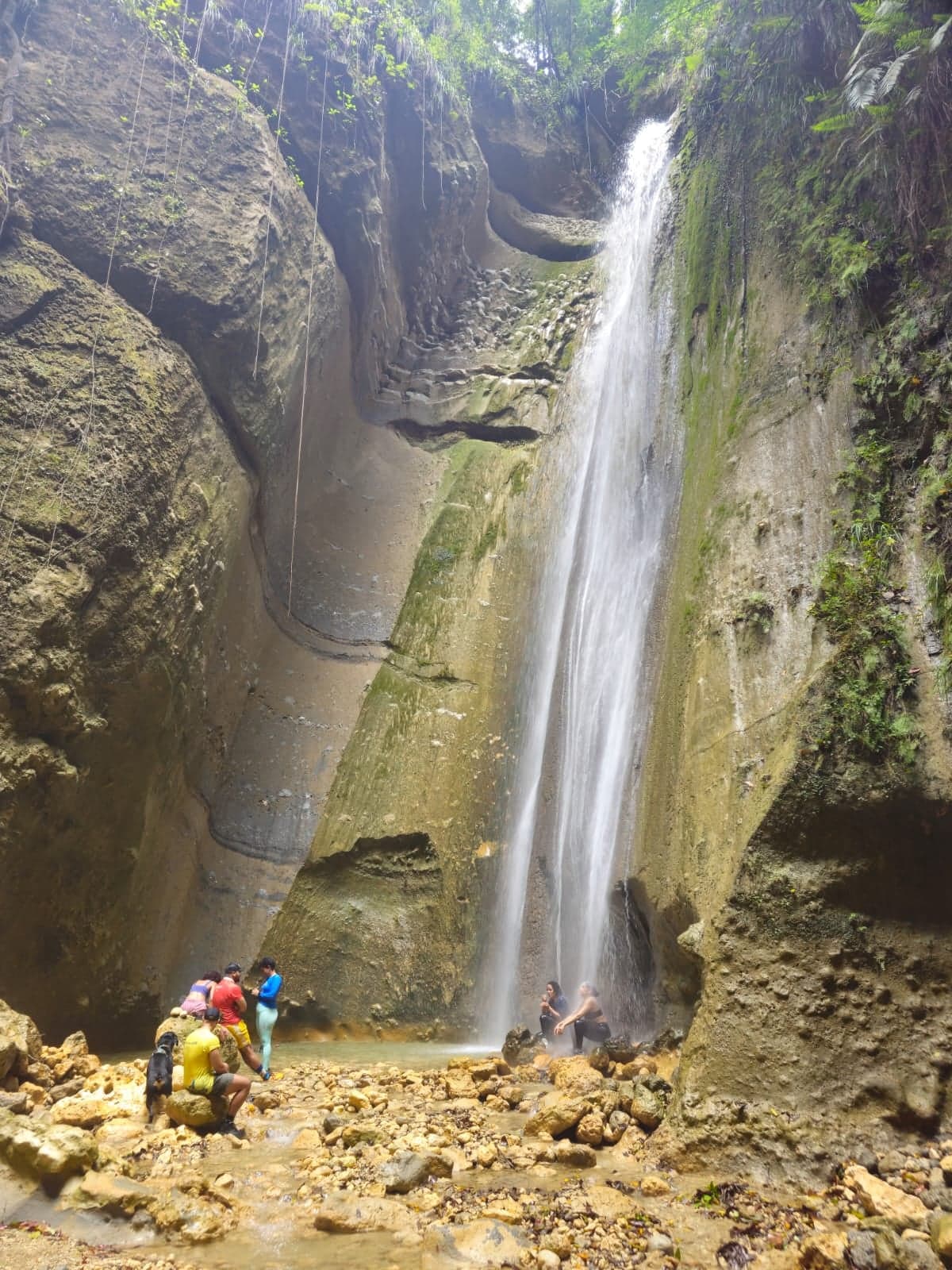 Sendero Las Guayabas — foto 8