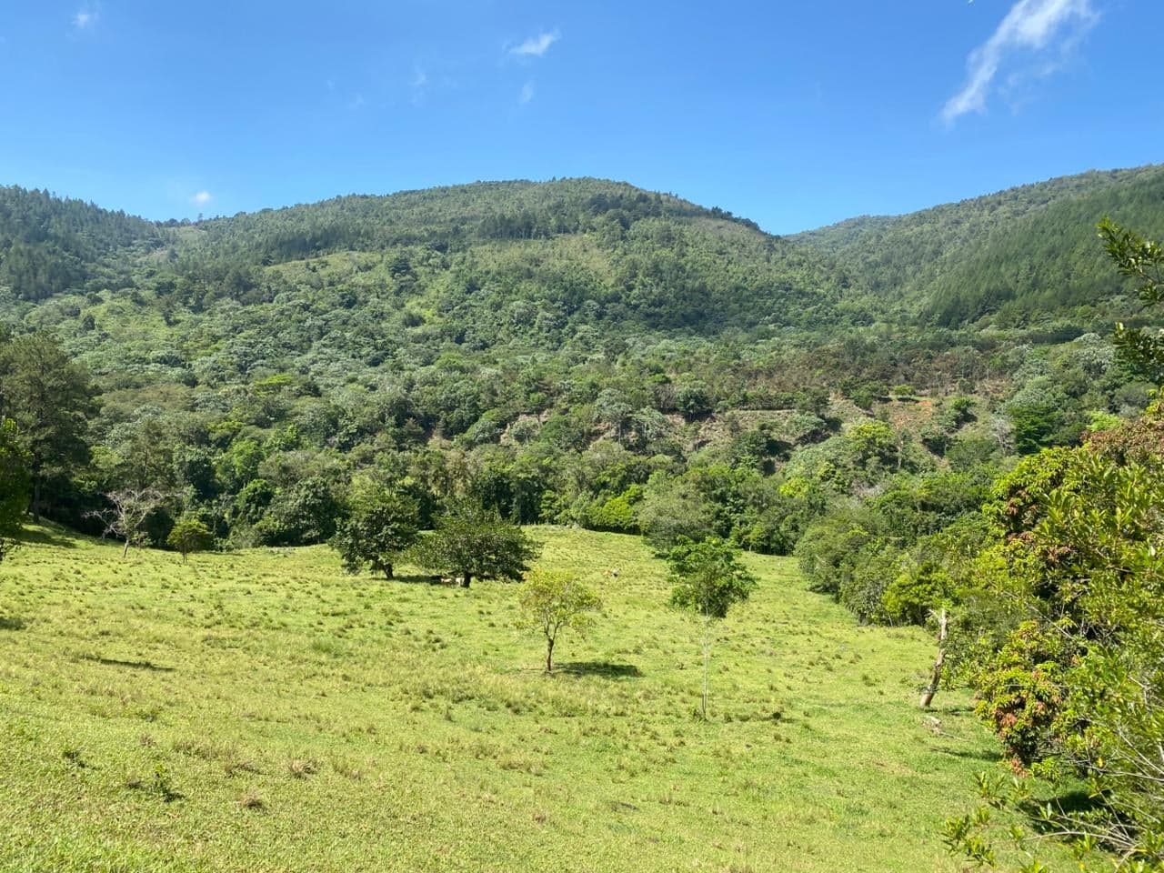 Sendero Los Montazos Guanajuma — foto 1